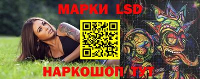 mdpv Заводоуковск