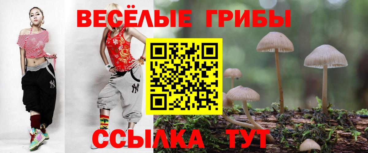 Псилоцибиновые грибы Cubensis Ликино-Дулёво