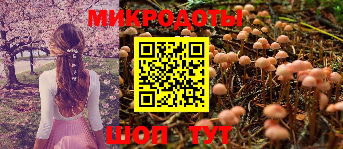 Псилоцибиновые грибы Cubensis  Вход с VPN  Ликино-Дулёво 